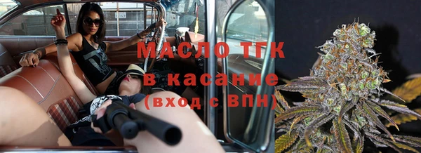 2c-b Горняк