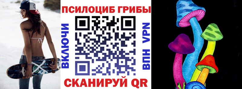 Псилоцибиновые грибы Cubensis  Елабуга 
