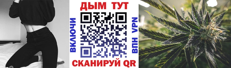 где найти наркотики  Елабуга  Бошки Шишки Bruce Banner 